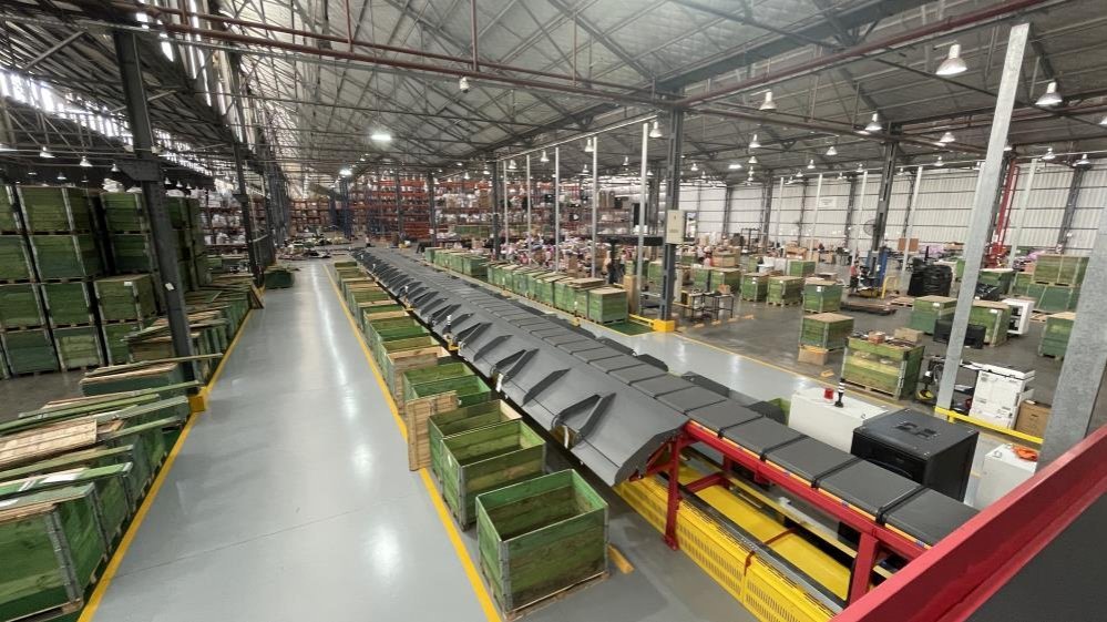 Linear cross-belt sorter with infeed and sorting stations