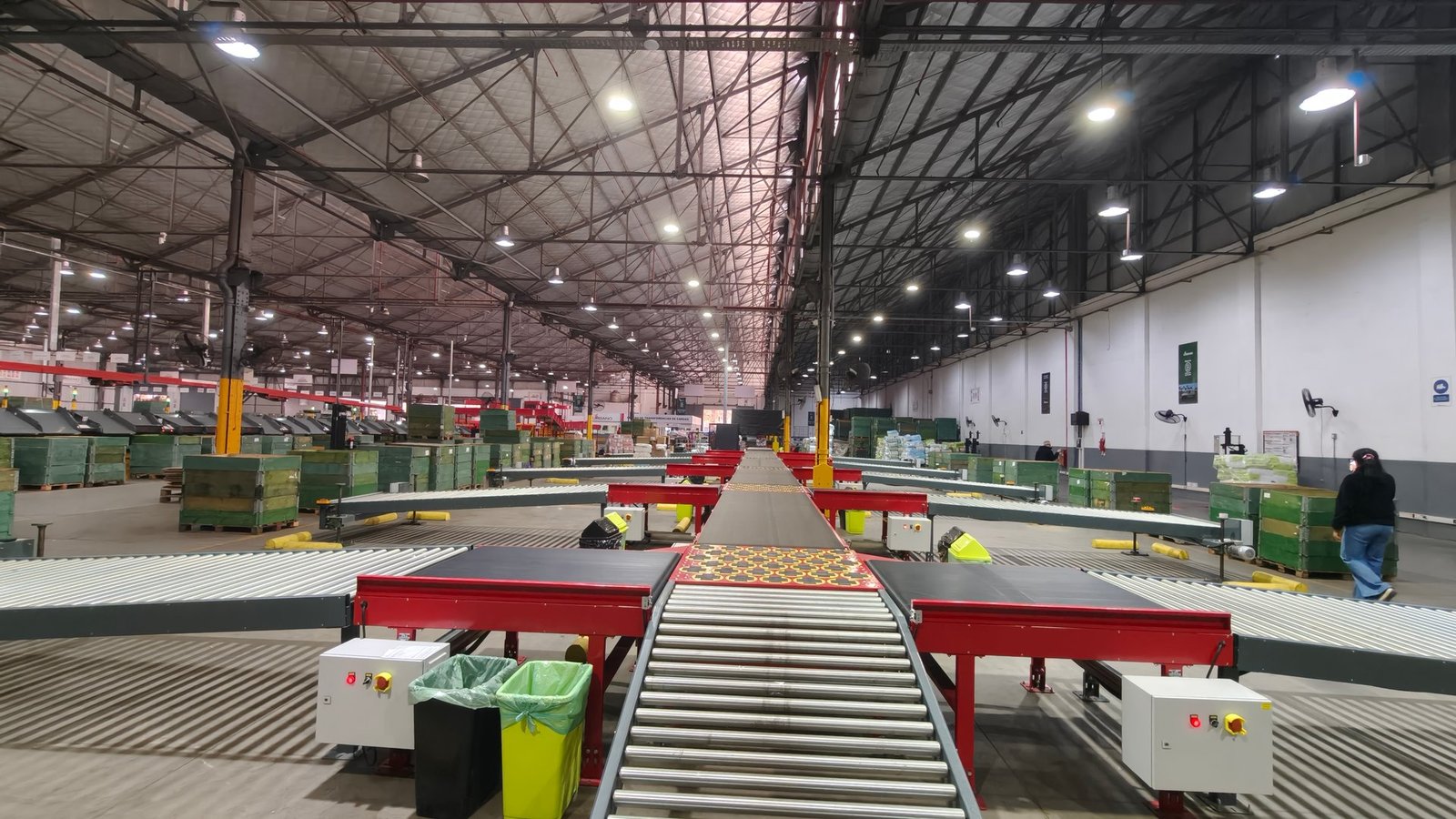 Roller conveyor line with divert units in parcel distribution center